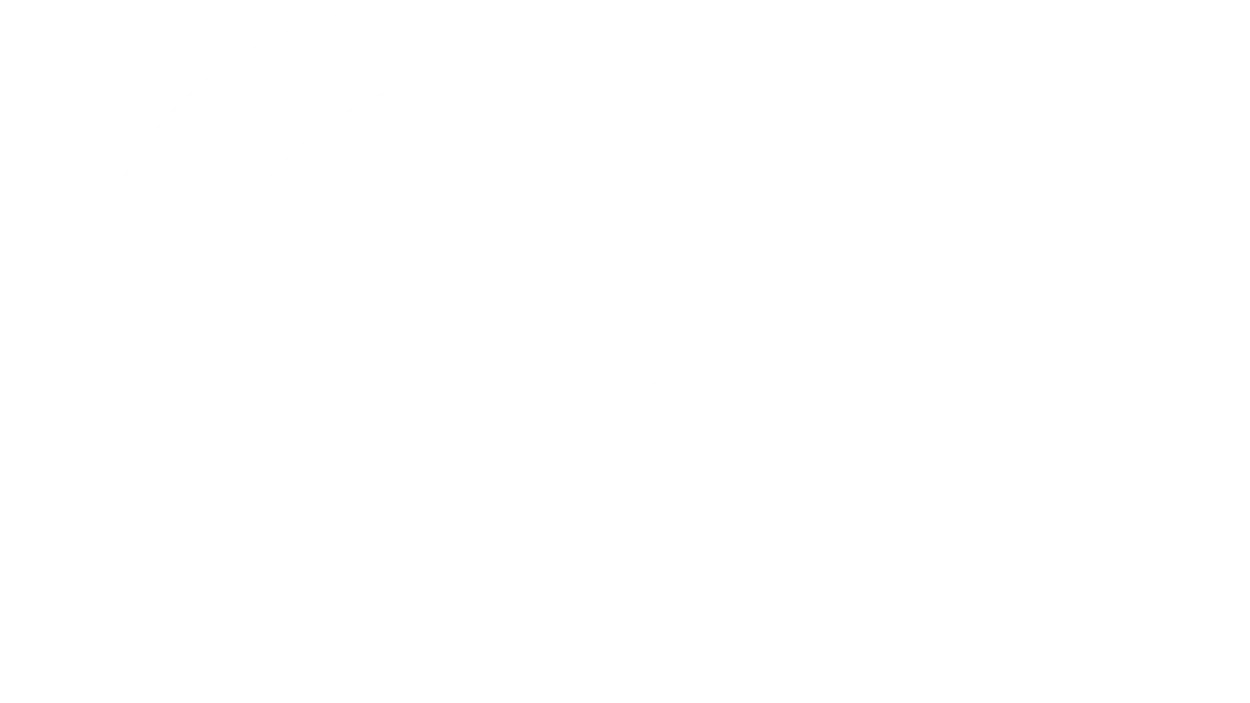 Orbit Savunma